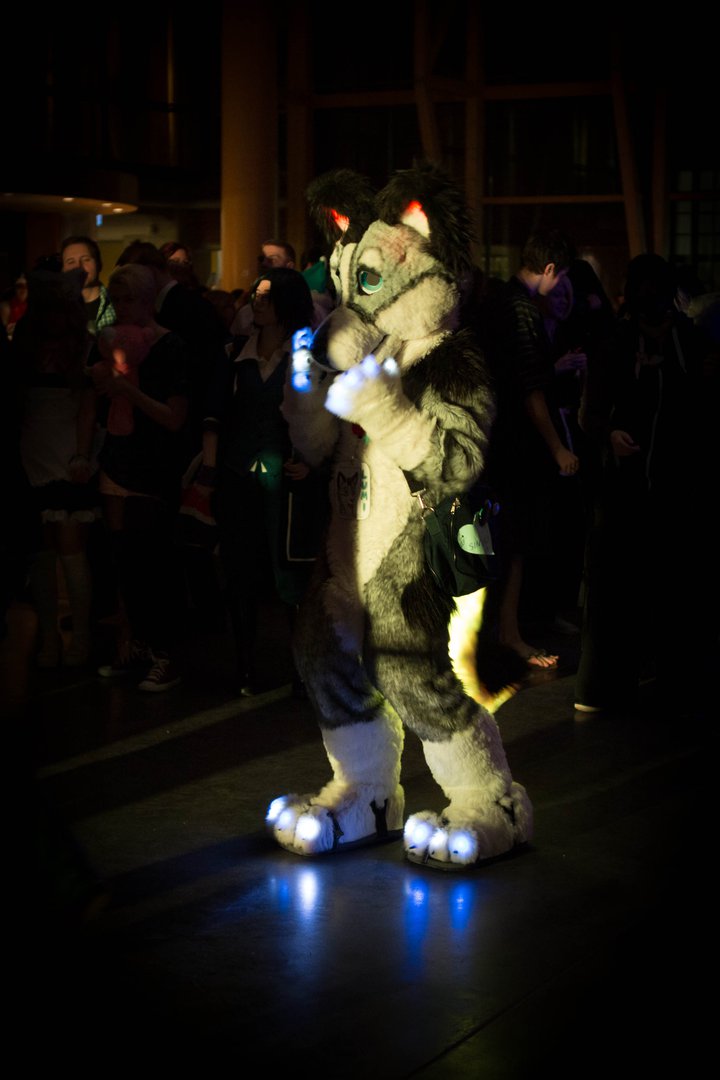 Image desucon_frostbite_2014-43.jpg