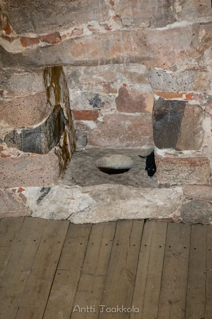 Image 17-IMG_3517.jpg