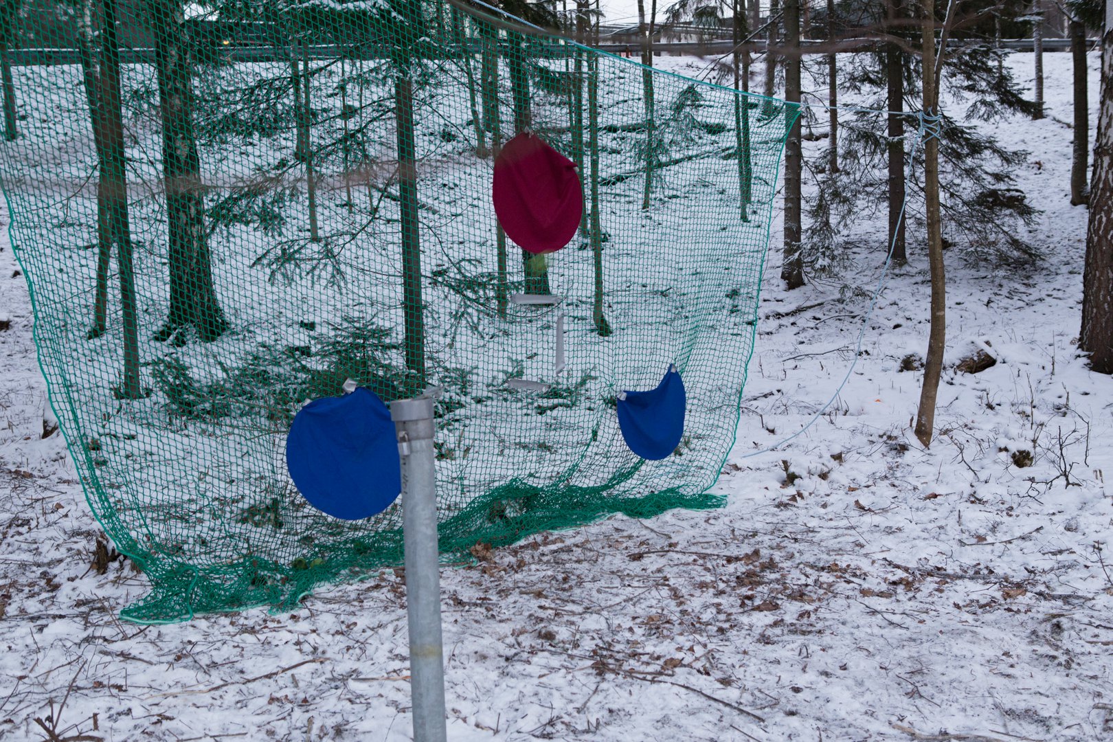 Image talvipaiva-2014-29.jpg